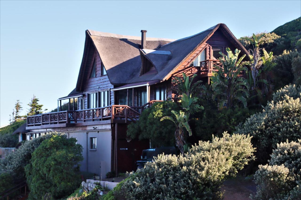 Oyster Bay Beach Lodge المظهر الخارجي الصورة